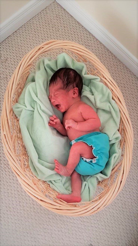 Crying 2 week old Giddy in basket shoot